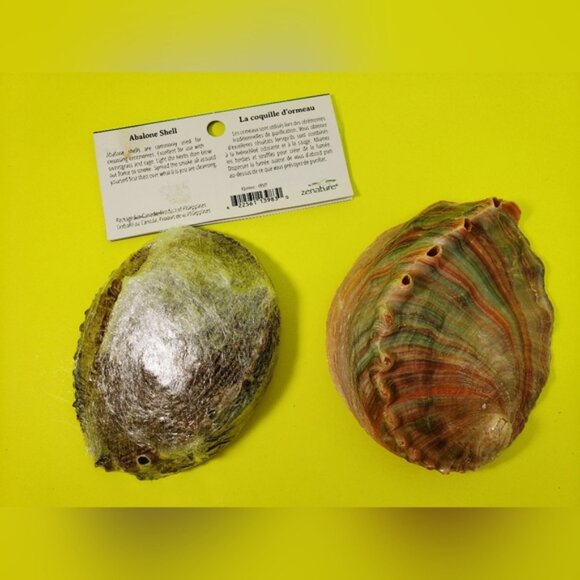Abalone Shells Two For Cleansing Or Decor Ideas - Picture 10 of 12